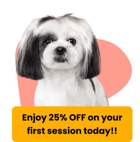 smoochi|Dog daycare, grooming services , 